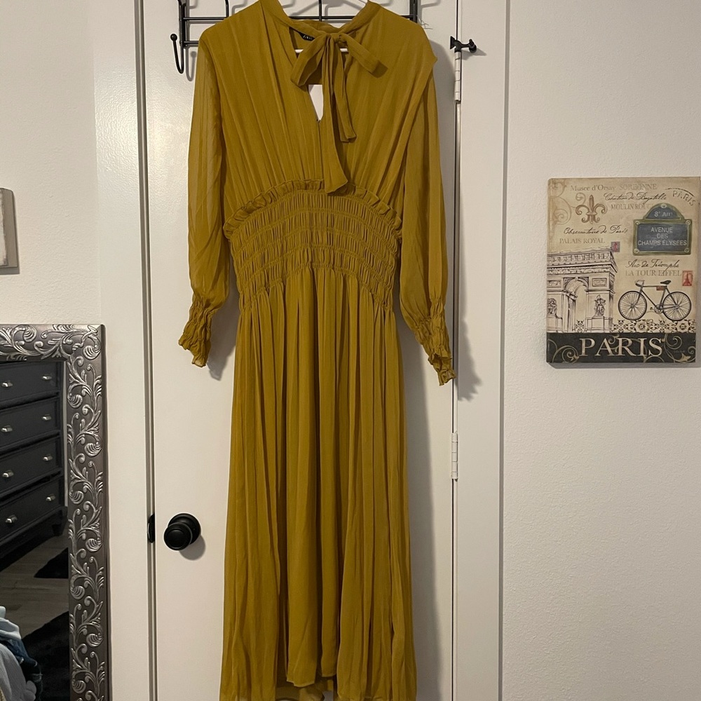 Zara dress